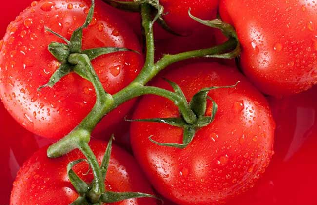 生吃西红柿的好处和坏处