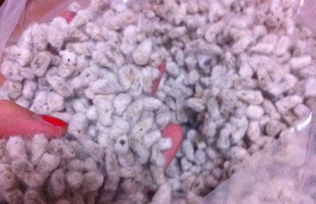 棉花籽的功效与作用
