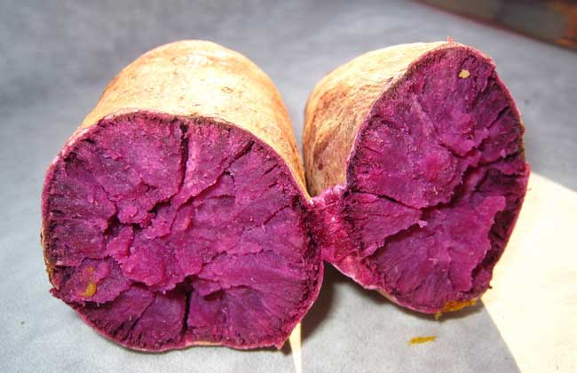 紫薯是转基因食品吗