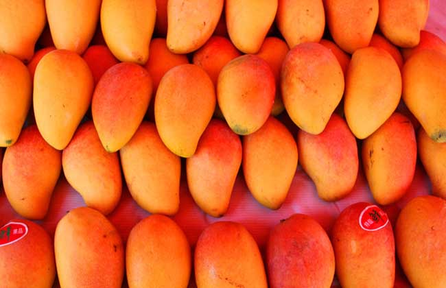 芒果多少钱一斤