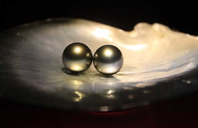 珍珠是怎么形成的