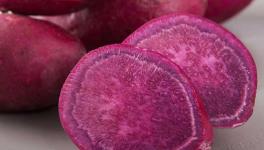 吃紫薯有什么好处？