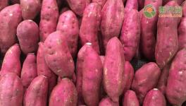 一亩红薯的利润是多少？2020年吃什么红薯好？