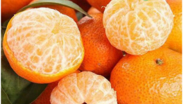 砂糖橘多少钱一斤？附1月份砂糖橘价格行情分析