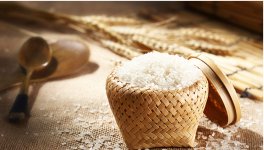 2021年大米价格多少钱一斤？大米价格会下跌吗？