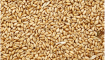 近期小麦价格还会上涨吗？小麦最新价格多少钱一斤？