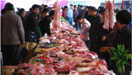 当前猪肉价格跌至每斤10元已成为现实 今后不涨不跌