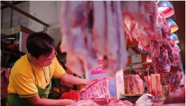 猪肉价格一直跌跌跌！官方喊话:多吃猪肉！到底了吗？