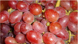 2021葡萄价格多少钱一斤？种植葡萄还能赚钱么？