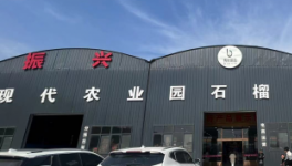 一品香甜，回味无穷——博鲜御果